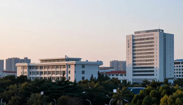 app开发公司定制,商机对接服务如何助力业务增长